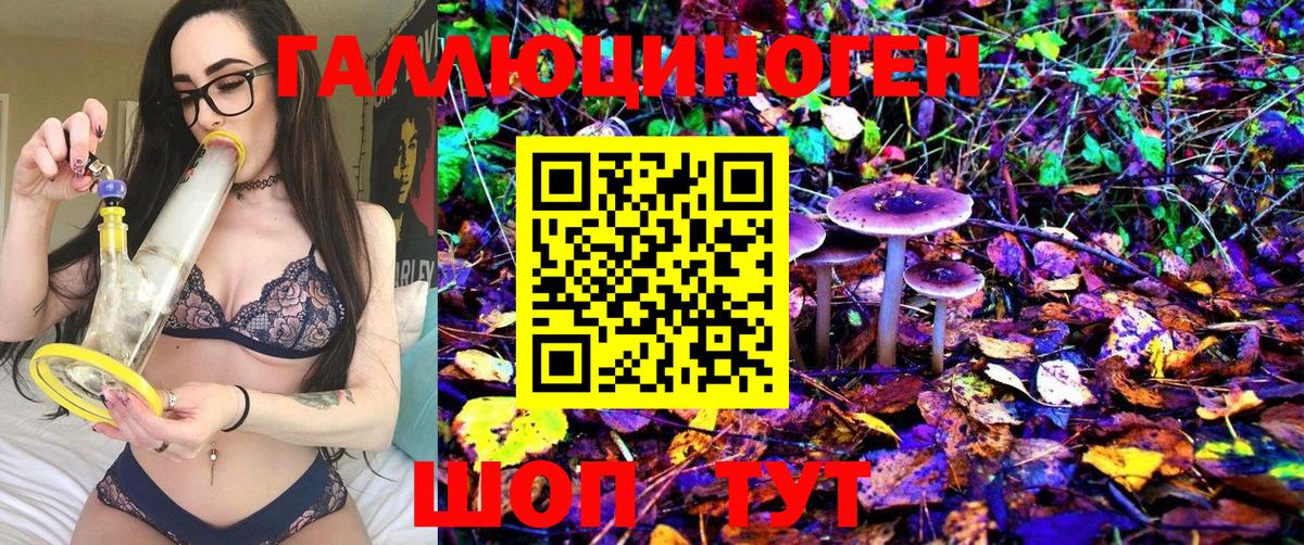Галлюциногенные грибы Psilocybe Сорочинск